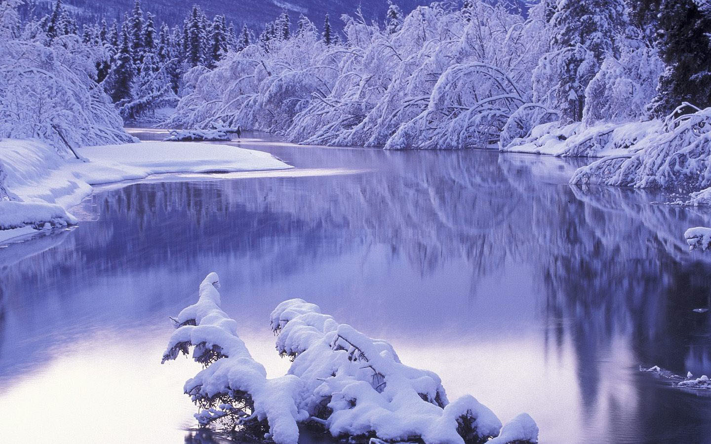 洞仙歌·雪云散尽