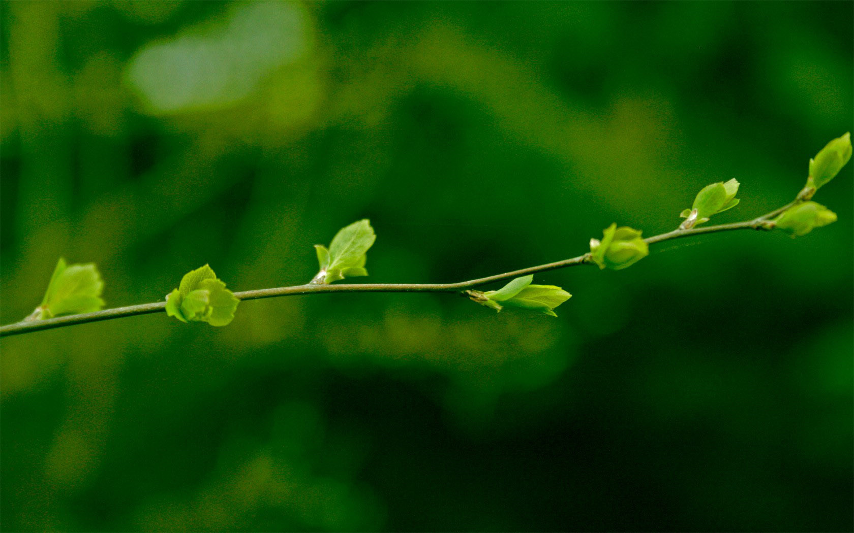 武帝求茂才异等诏