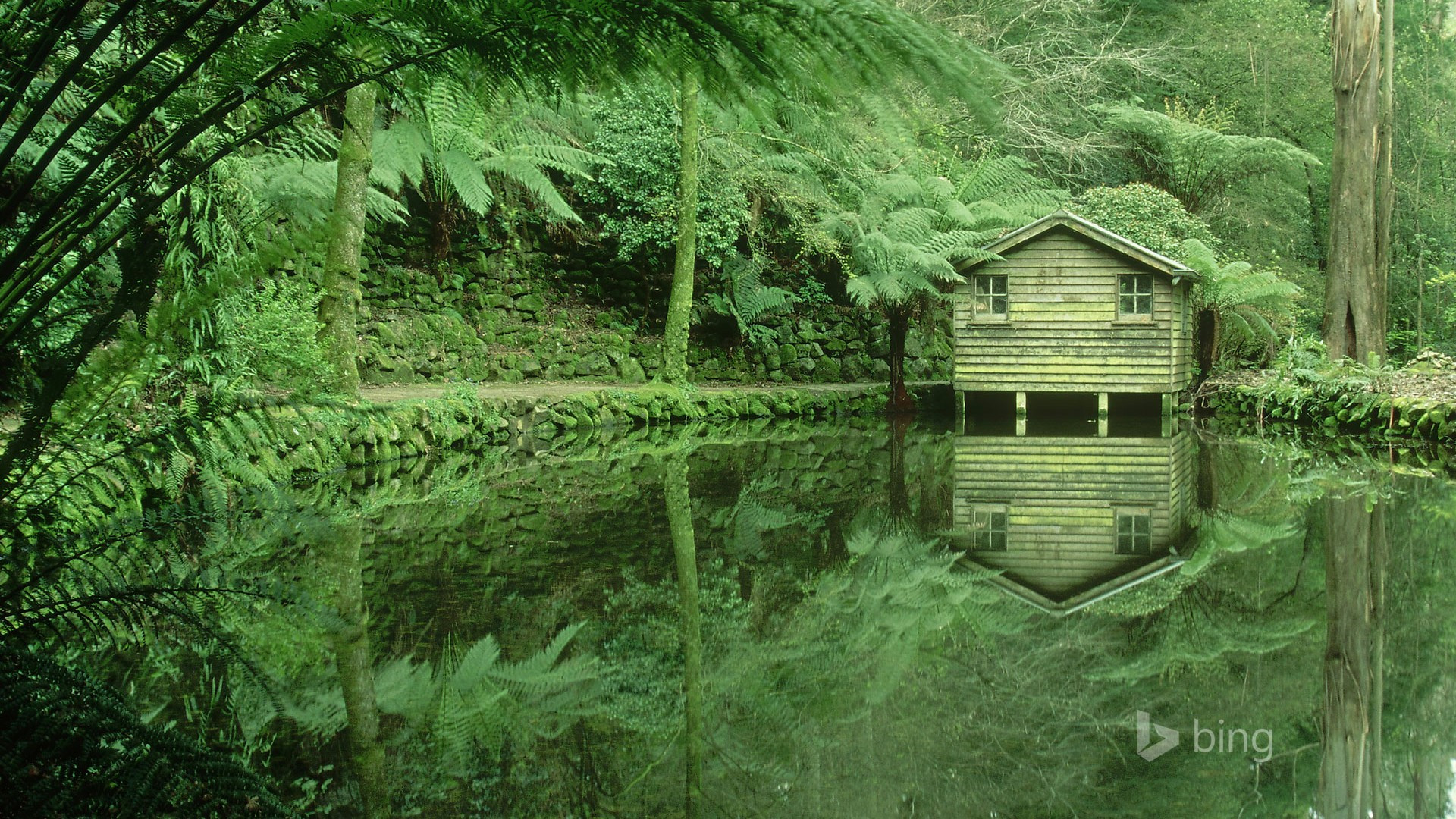 夜宿山寺